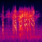 The Man Who Collected Sounds - 01 Wind - Spectrogram.jpg