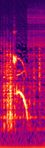 The Naked Sun - 04. Making contact with Mrs Delmarre - Spectrogram.jpg