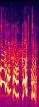 The Bagman - 4. Vocal Fanfare - Spectrogram.jpg