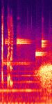 28'01.7-28'11.1 The Hungry Gap - Spectrogram.jpg