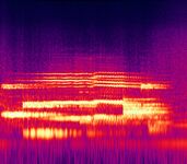 Music of the Spheres clean - Spectrogram.jpg